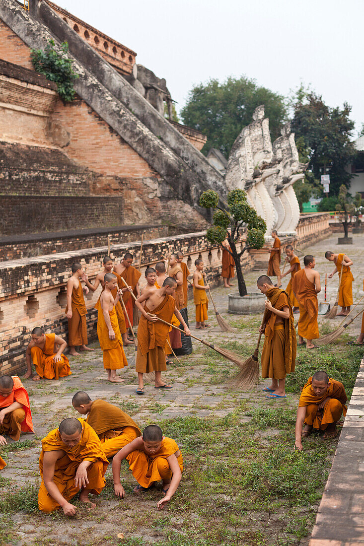 Novices cleaning up the temple grounds, Wat Chedi Luang, Chiang Mai, Thailand, Asia
