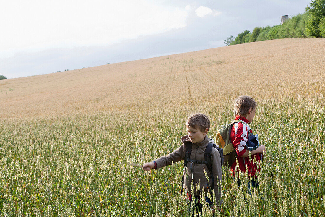 Zwei Jungen in einem Getreidefeld, Lankau, Schleswig-Holstein, Deutschland