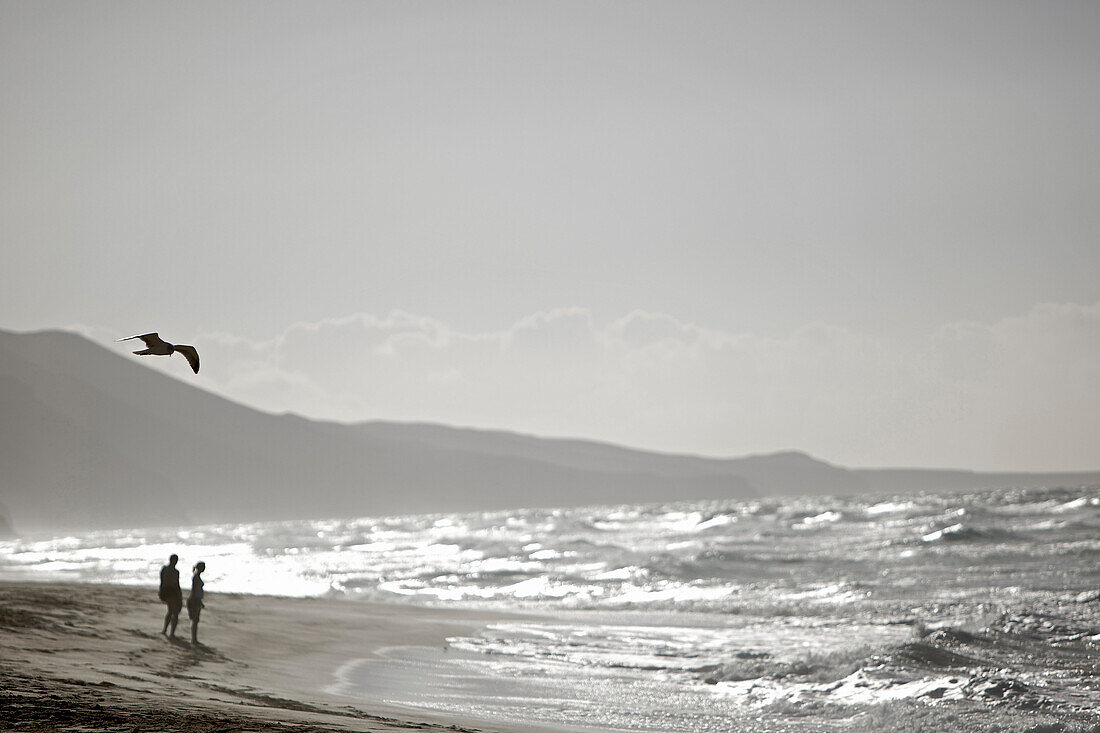 Couple at beach, Fuerteventura, Spain