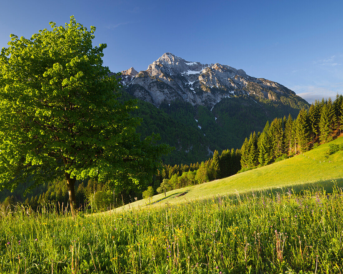 Blick vom Kreuzberg auf Polinik, Gailtal, Kärnten, Österreich