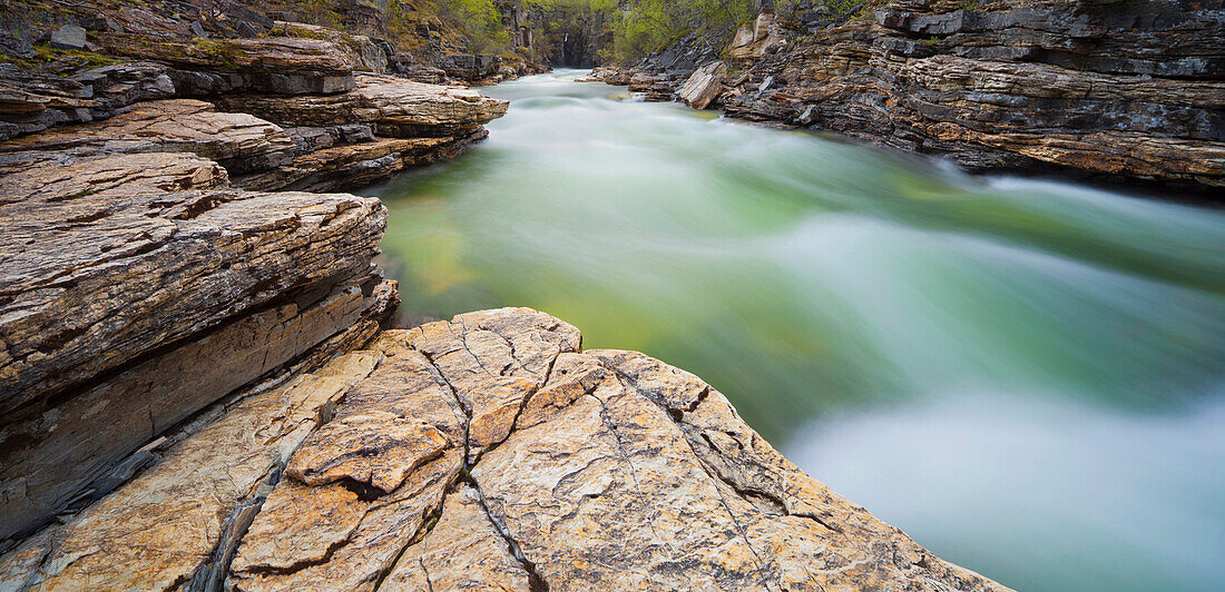 River in the Abisko gorge, Abisko National Park, Lappland, Sweden