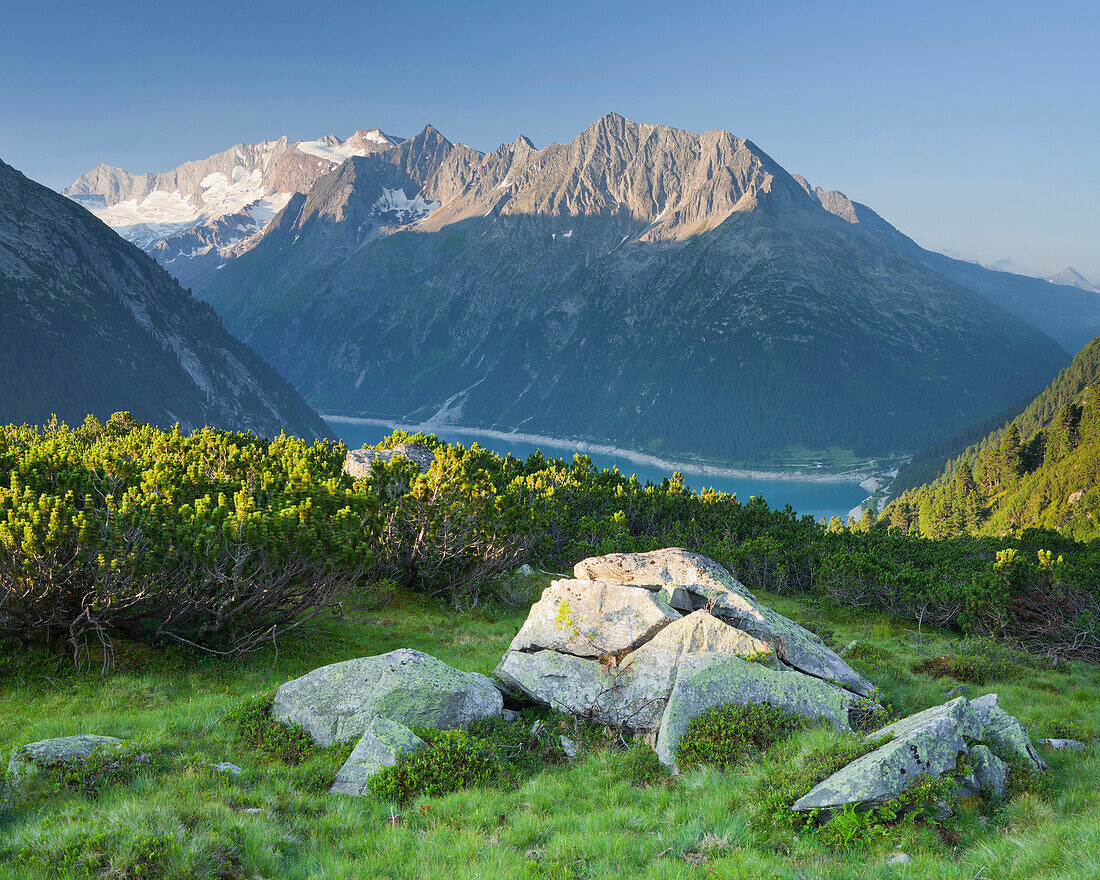 Blick von der Almwiese über den Schlegeisspeicher, Hochfeiler im Hintergrund, Zemmgrund, Zillertaler Alpen, Tirol, Österreich