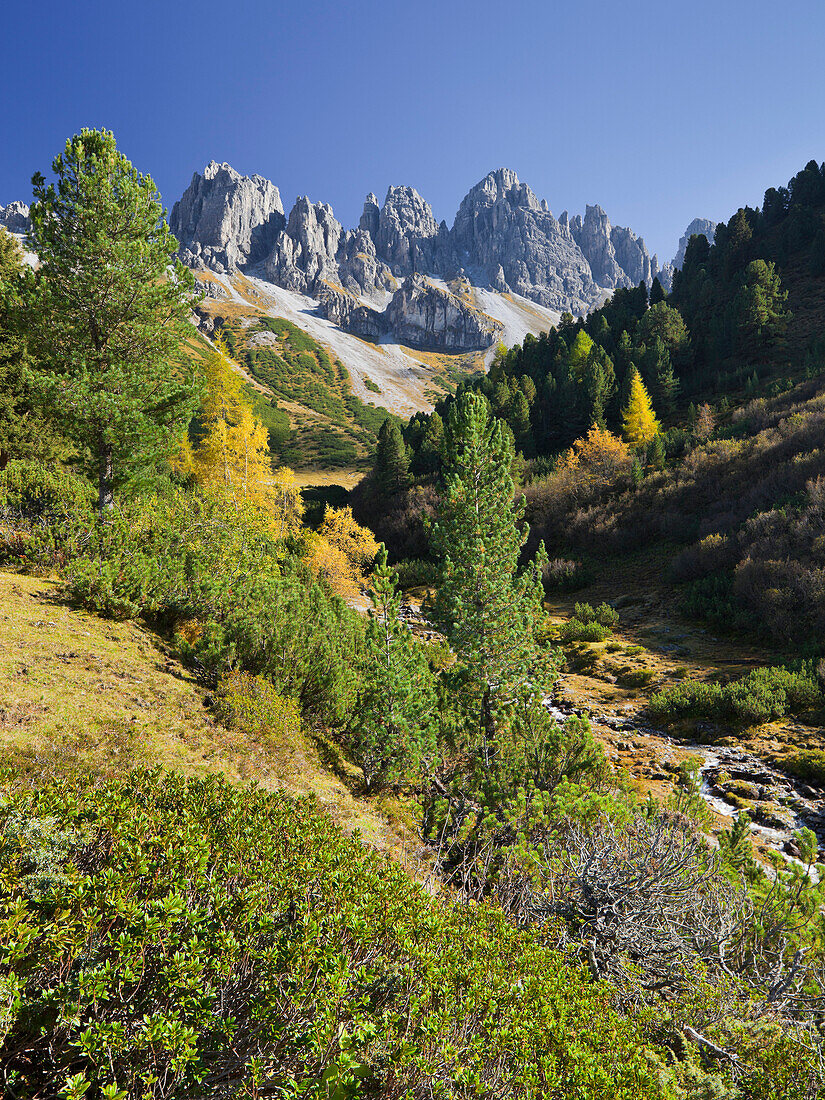 Griesbach auf der Kemater Alm im Sonnenlicht, Kalkkögel, Tirol, Österreich, Europa