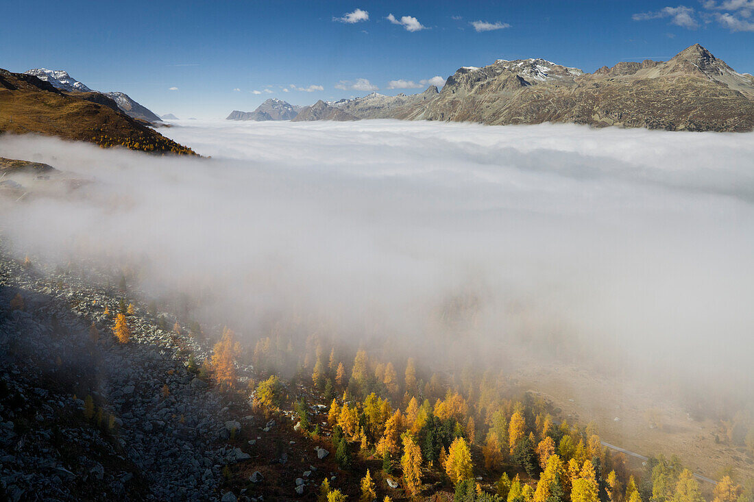 Sea of fog in the sunlight, Engadin, Surlej, Grisons, Switzerland, Europe
