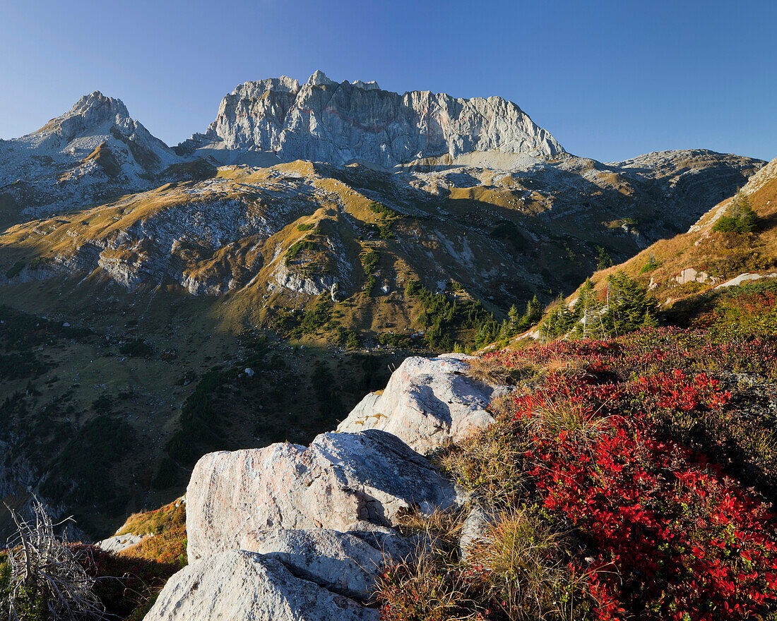 View of Rote Wand in the sunlight, Lechquellengebirge, Vorarlberg, Austria, Europe