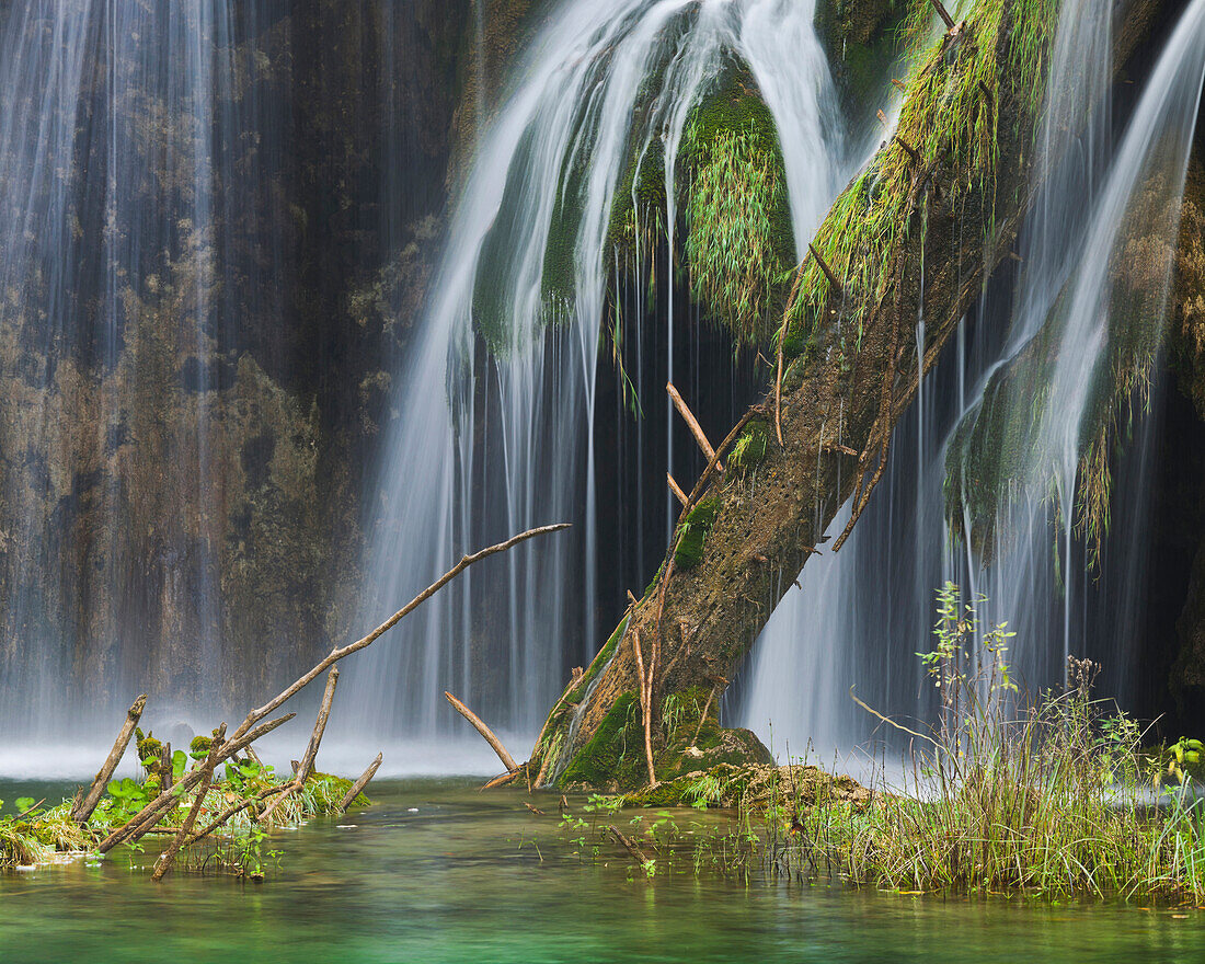 Baumstamm und Wasserfall im Nationalpark Plitvicer Seen, Kroatien, Europa