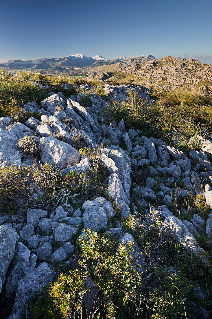 Rocks and undergrowth under blue sky, Serra de Tramuntana, Formentor, Mallorca, Spain, Europe