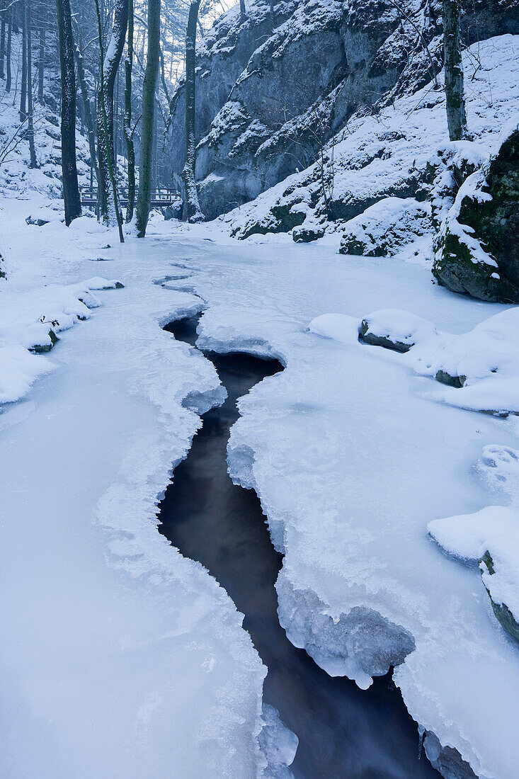 Frozen Johannesbachklamm, Wuerflach, Lower Austria, Austria, Europe