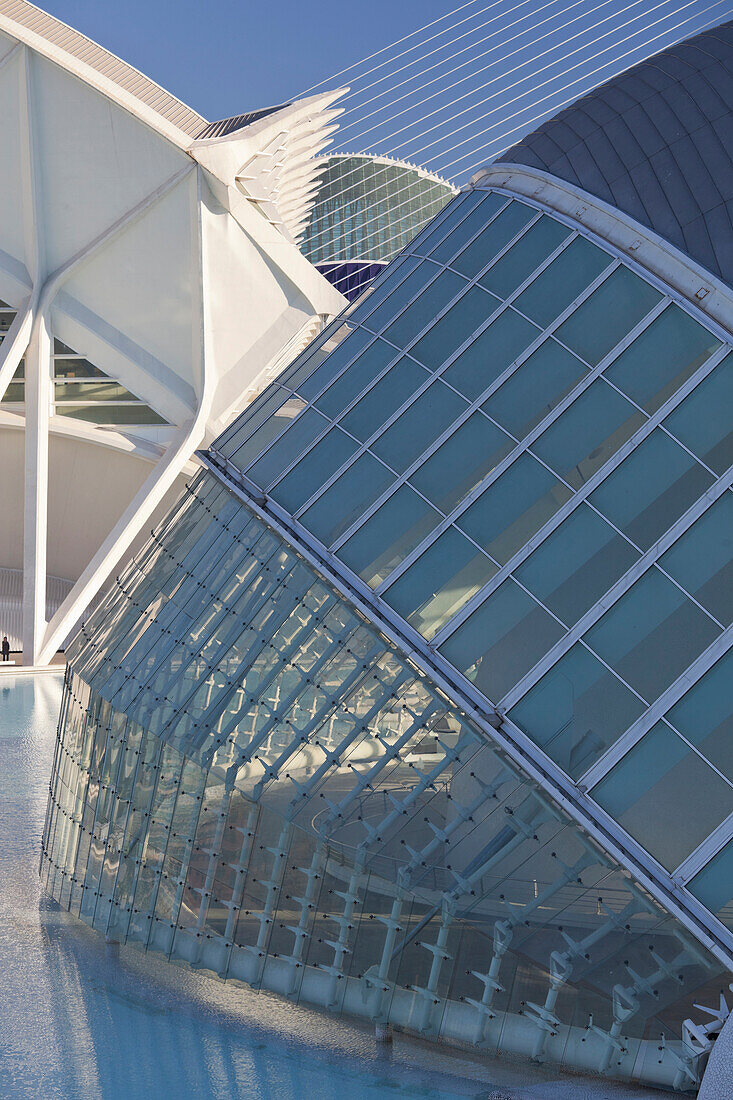 Detail des IMAX 3D Kinos L'Hemispheric, Ciudad de las Artes y de las Ciencias, Valencia, Spanien, Europa