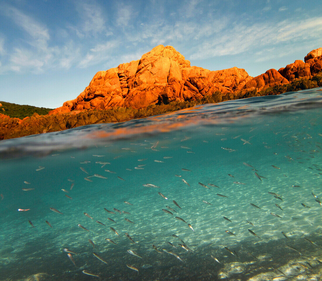 Snorkeling on Palombaggia beach, Punta di u Cerchin Halbinsel, Corsica, France