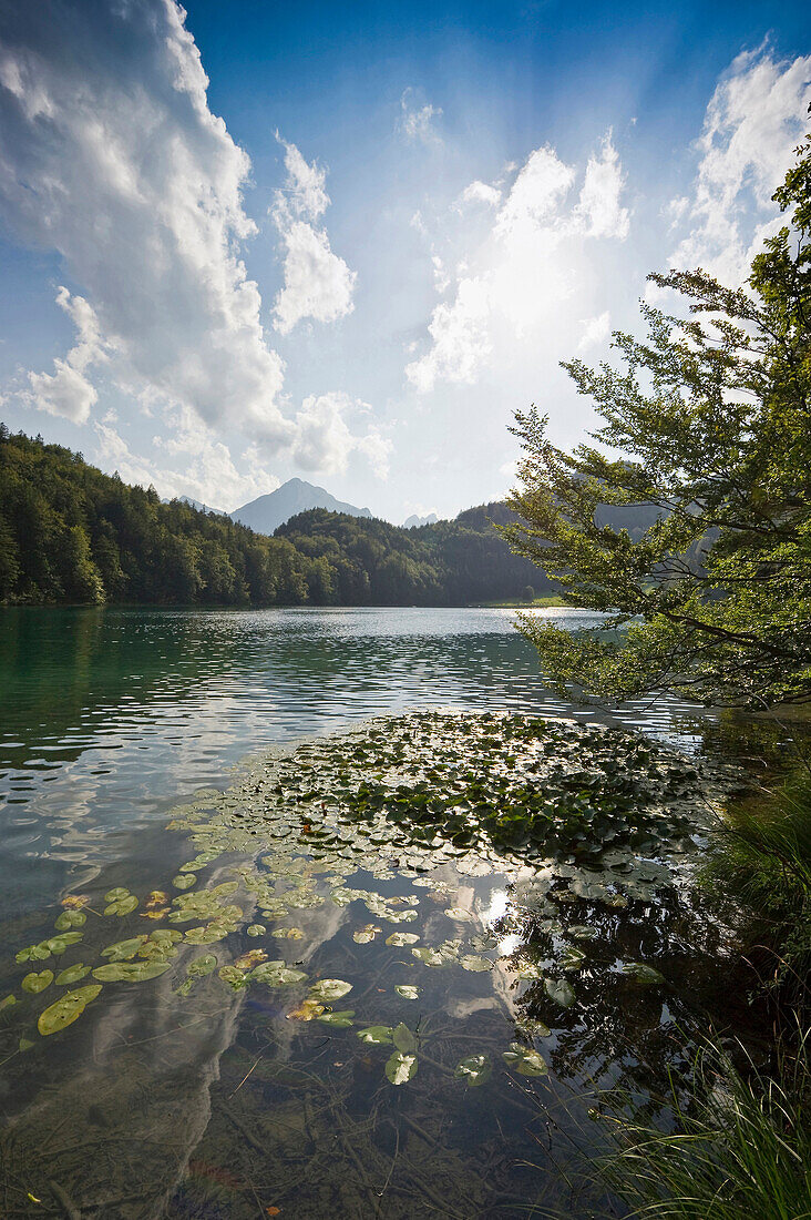 Scenery at lake Alatsee near Fuessen, Allgaeu, Bavaria, Germany
