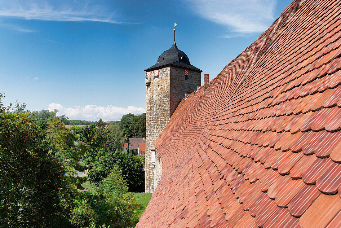 Dachziegel, Wasserburg Kapellendorf, Weimar, Thüringen, Deutschland