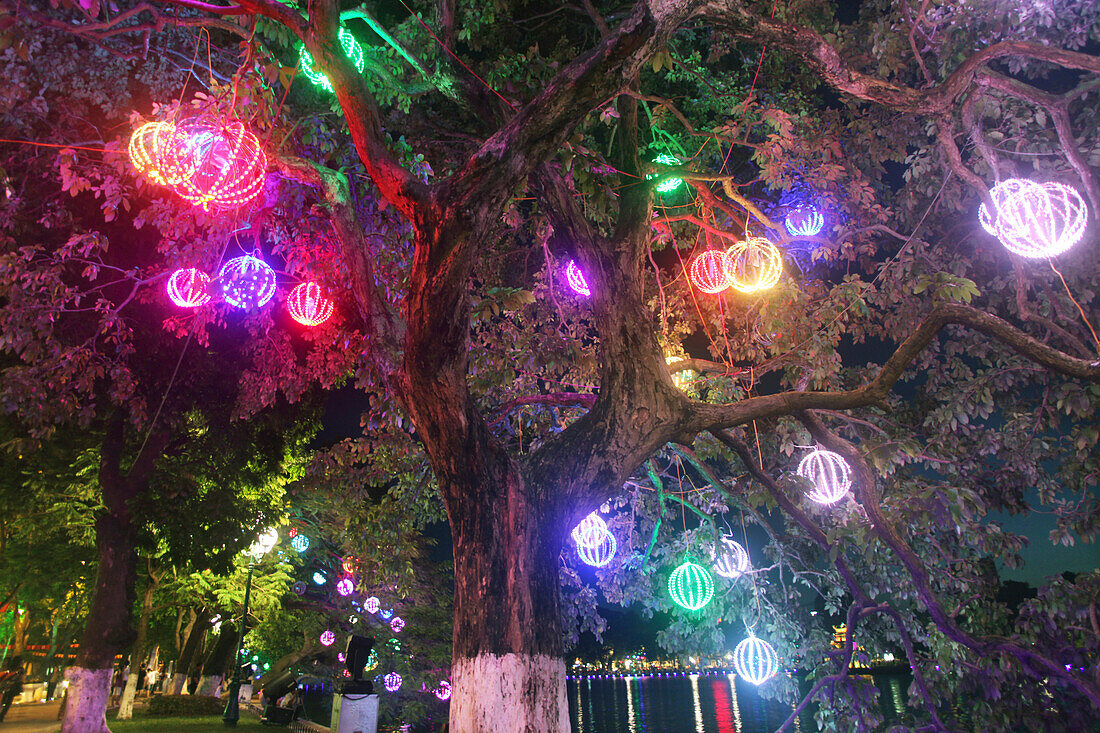 Bunte Lichter in einem Baum am Hoan Kiem See, Hanoi, Vietnam, Asien
