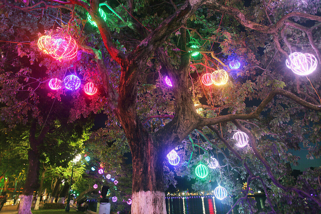 Colourful lights in a tree at Hoan Kiem Lake, Hanoi, Vietnam, Asia