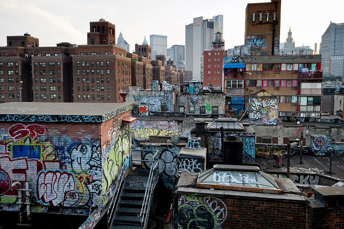 Blick auf Downtown Manhattan und China Town, Manhattan, New York, USA, Amerika