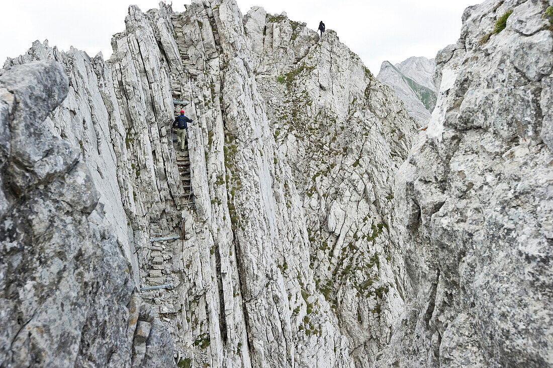 People at fixed rope route, Alpsteingebirge, Saentis, Appenzeller Land, Switzerland, Europe