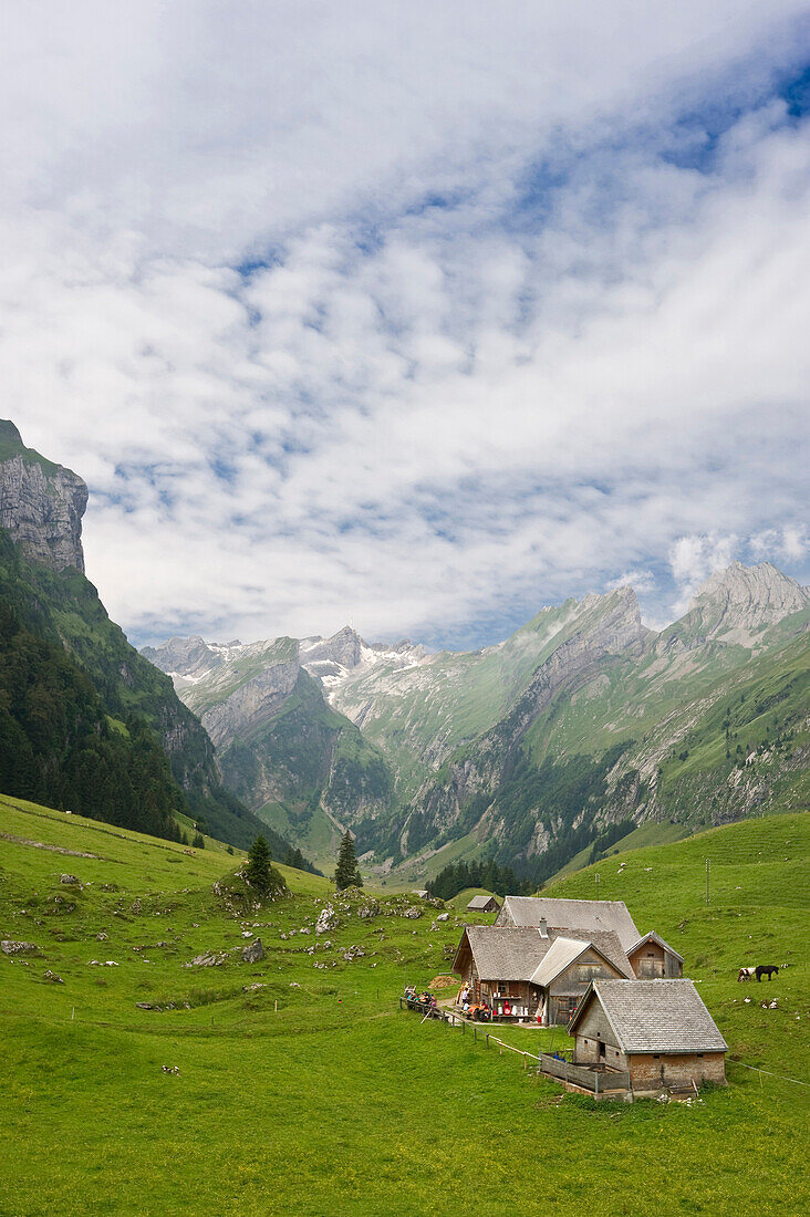 Alm mit Berghütte am Seealpsee, Alpsteingebirge, Säntis, Appenzeller Land, Schweiz, Europa