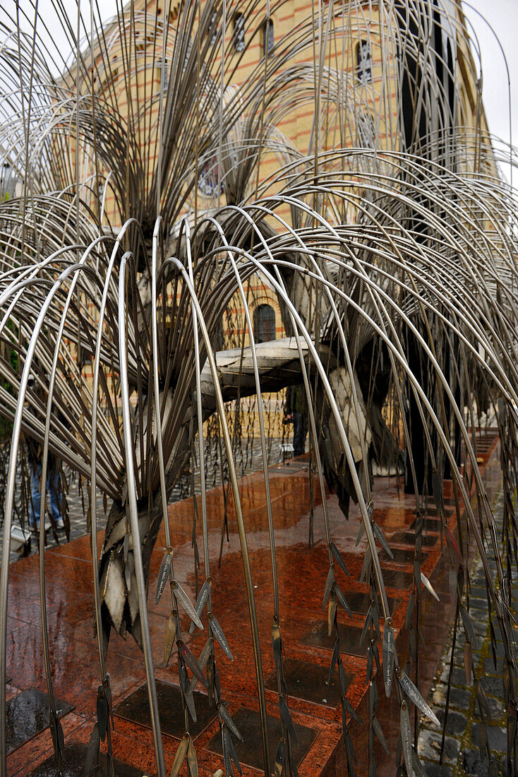 Silvery weeping willow at the synagogue, Budapest, Hungary, Europe