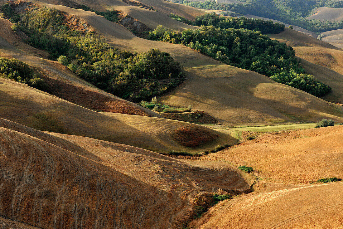 Blick auf Hügellandschaft der Crete, Toskana, Italien, Europa