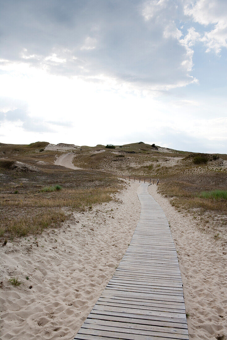 Wooden pathway across sand dune on Curonian Spit, near Klaipeda, Klaipedos, Lithuania