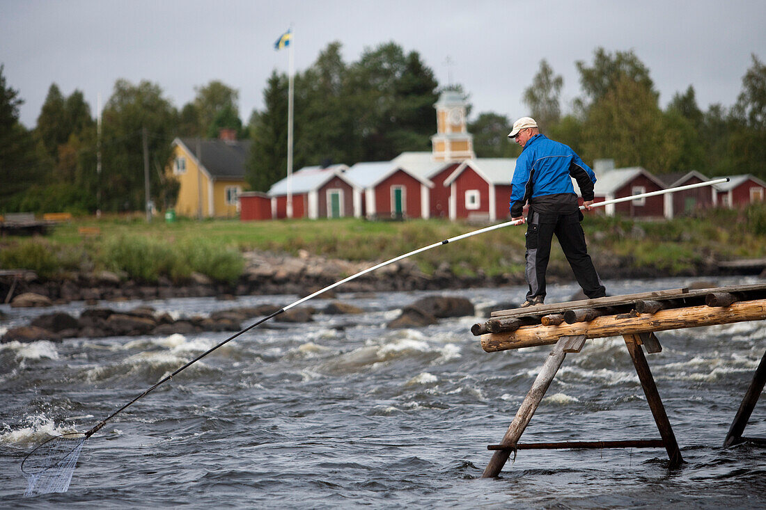 Angler fängt Lachs am Tornionjoki Fluss an der Grenze zwischen Finnland und Schweden, nahe Kemi, Lappland, Finnland, Europa