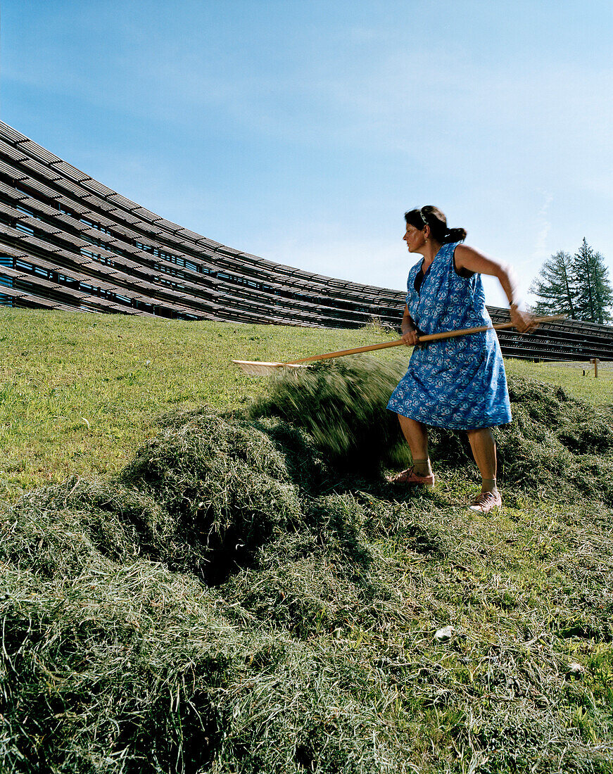 Frau harkt Heu vor dem Hotel Vigilius Mountain Resort, Vigiljoch, Lana, Trentino-Südtirol, Italien