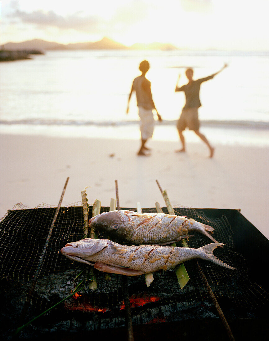 Fischgrillen auf kreolische Art mit Öltonnengrill am Strand bei Sonnenuntergang, La Passe, im Hintergrund Nachbarinsel Praslin,  La Digue, La Digue and Inner Islands, Republik Seychellen, Indischer Ozean