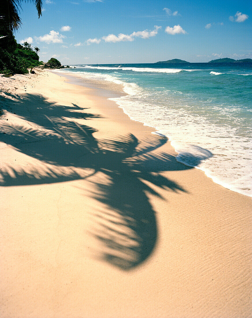 Shadow of palm trees on the beach Anse Fourmis, eastern La Digue, Republic of Seychelles, Indian Ocean