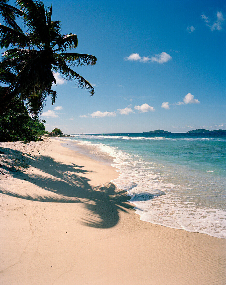 Shadow of palm trees on the beach Anse Fourmis, eastern La Digue, Republic of Seychelles, Indian Ocean