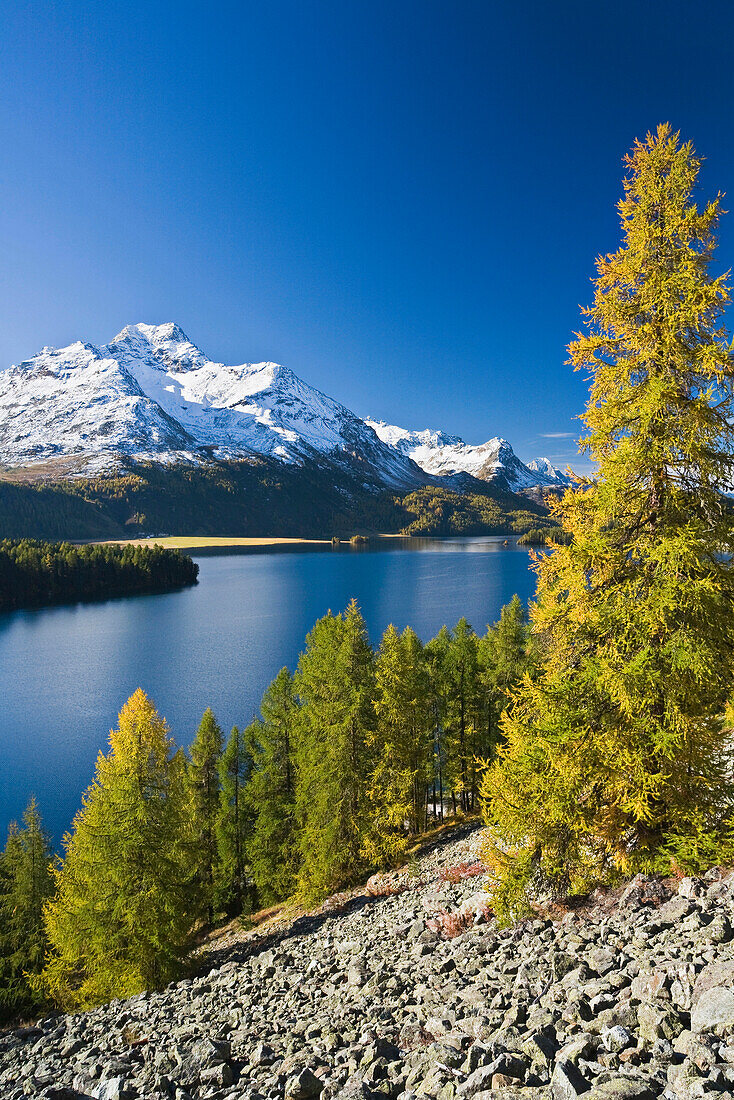 Silser See und schneebedeckte Berge im Sonnenlicht, Piz da la Margna, Oberengadin, Engadin, Graubünden, Schweiz, Europa