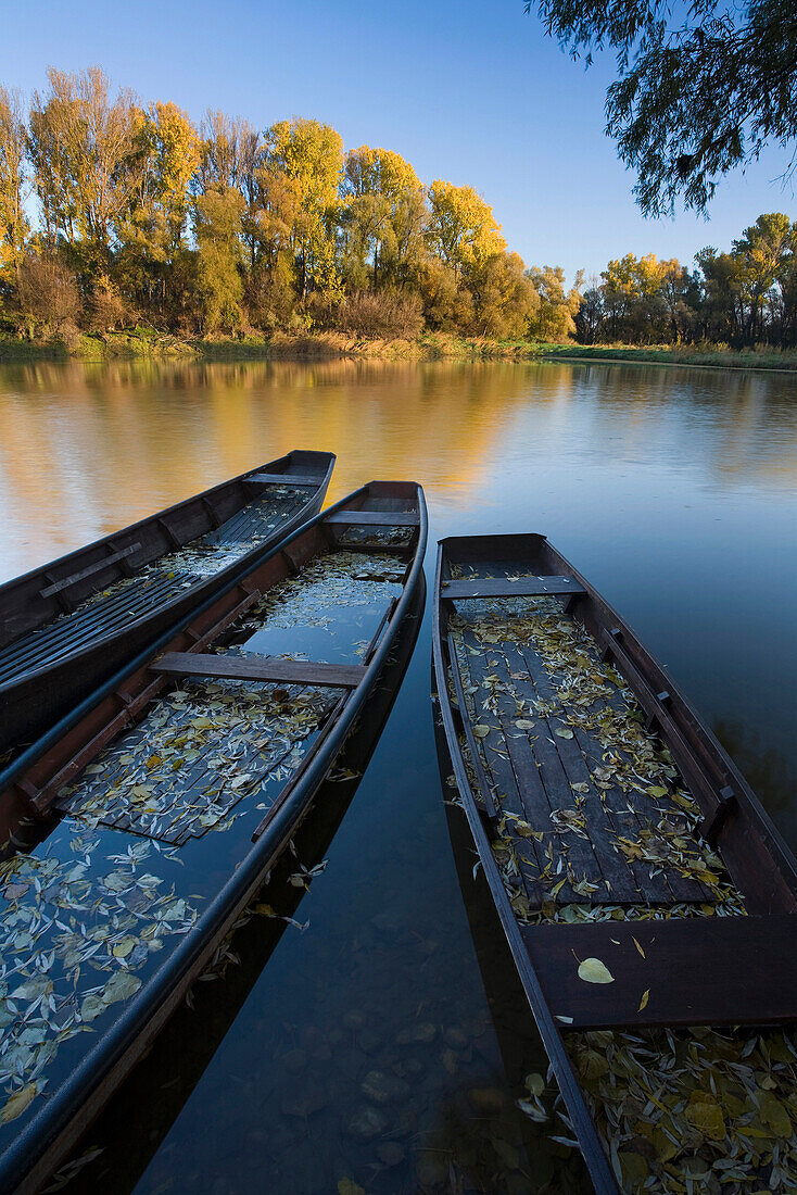 Alte Fischerboote am Ufer der Donau,Niederösterreich,Österreich,Europa