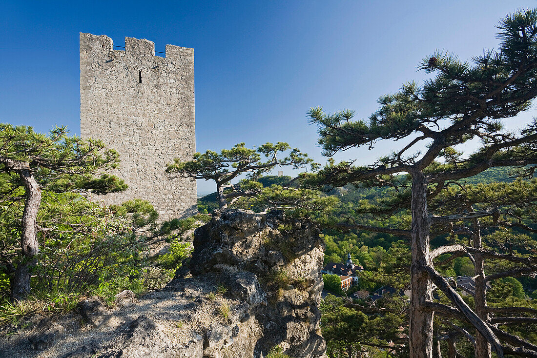 Rauhenstein castle ruins in the sunlight, Helen valley, Baden, Lower Austria, Austria, Europe