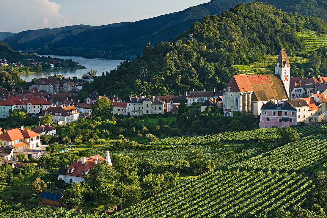 Blick auf Weinfelder und die Stadt Spitz an der Donau, Wachau, Niederösterreich, Österreich, Europa