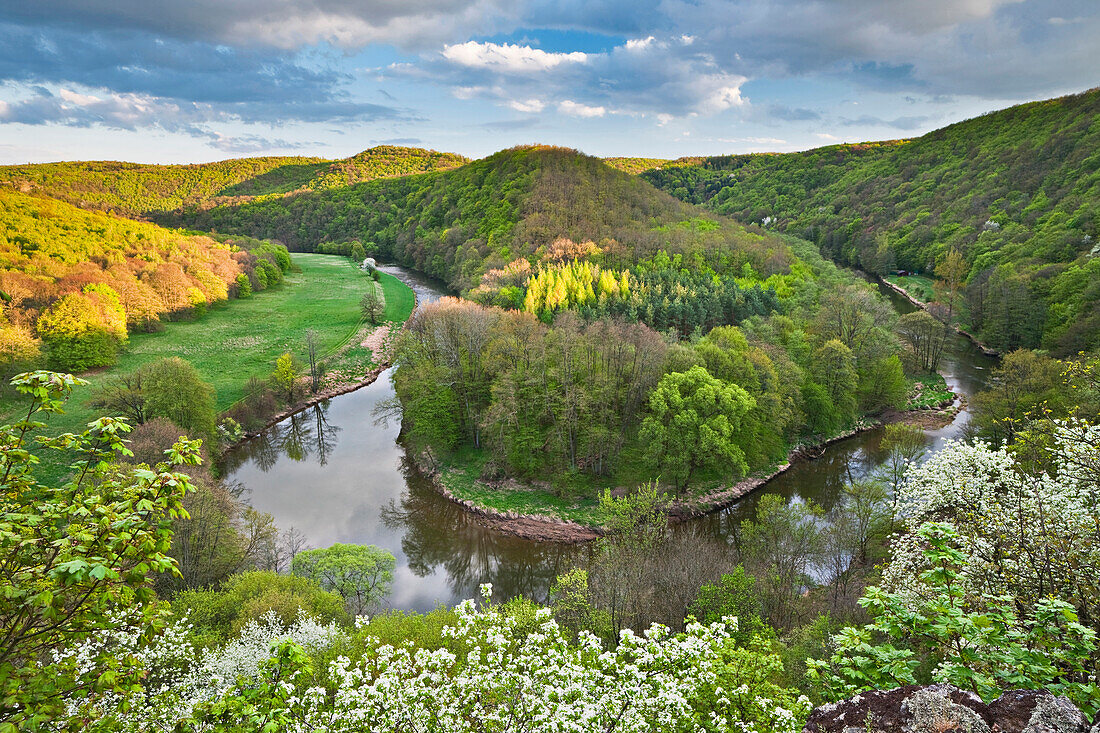 Blick auf den Fluss Thaya im Thayatal im Frühling, Niederösterreich, Österreich, Europa
