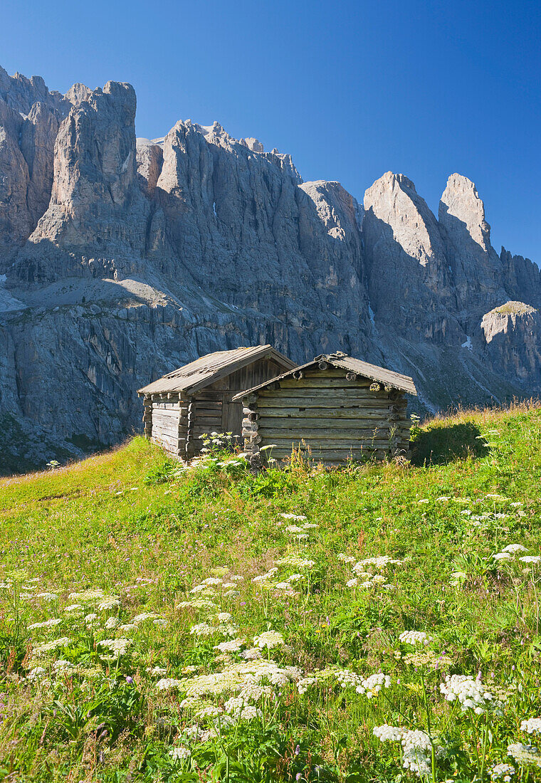 Alpine huts in front of Dolomites, Sella, South Tyrol, Alto Adige, Italy, Europe
