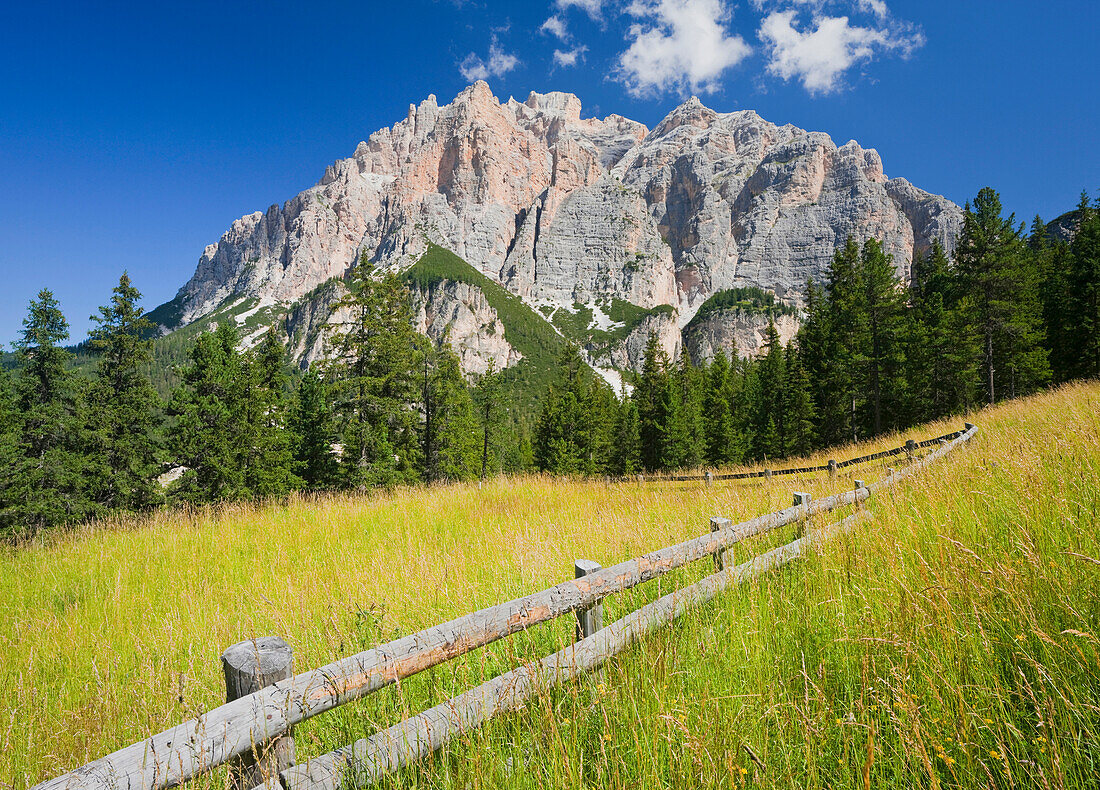 Wooden fence in a meadow, Wuerzjoch, Dolomites, South Tyrol, Alto Adige, Italy, Europe
