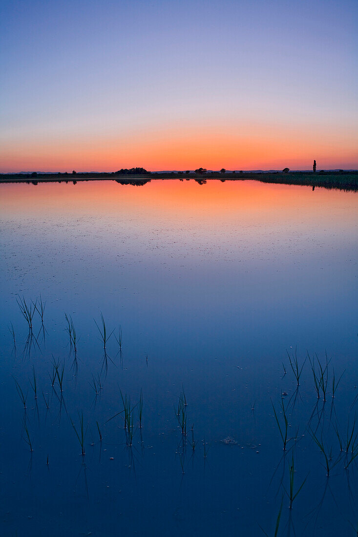 Der Neusiedlersee bei Sonnenuntergang, Fertö Nationalpark, Burgenland, Österreich, Europa