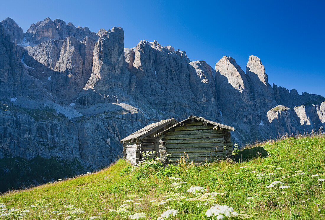 Hütte auf einer Almwiese im Sonnenlicht, Dolomiten, Sella, Alto Adige, Südtirol, Italien, Europa