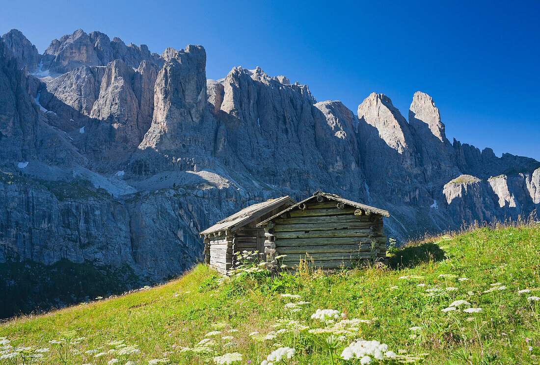 Hut in an alpine meadow in the sunlight, Dolomites, Sella, Alto Adige, South Tyrol, Italy, Europe