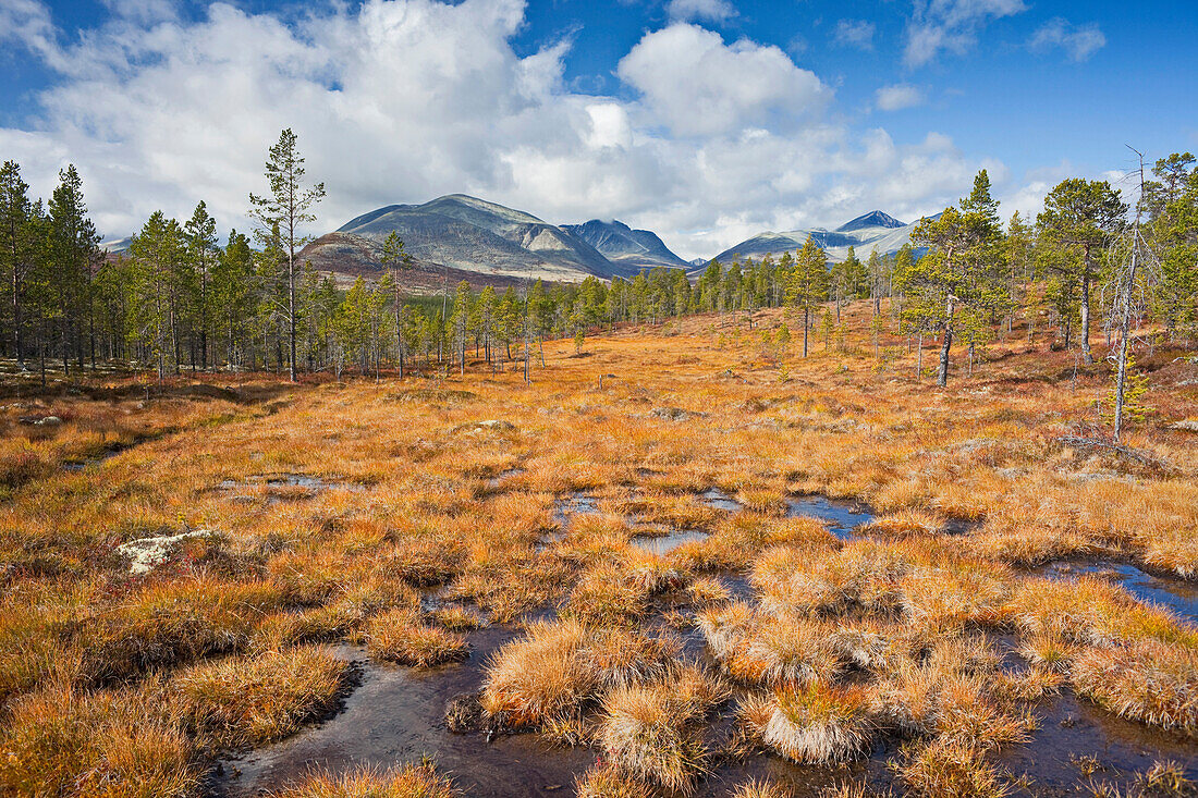Herbsliche Landschaft im Rondane Nationalpark, Norwegen, Europa