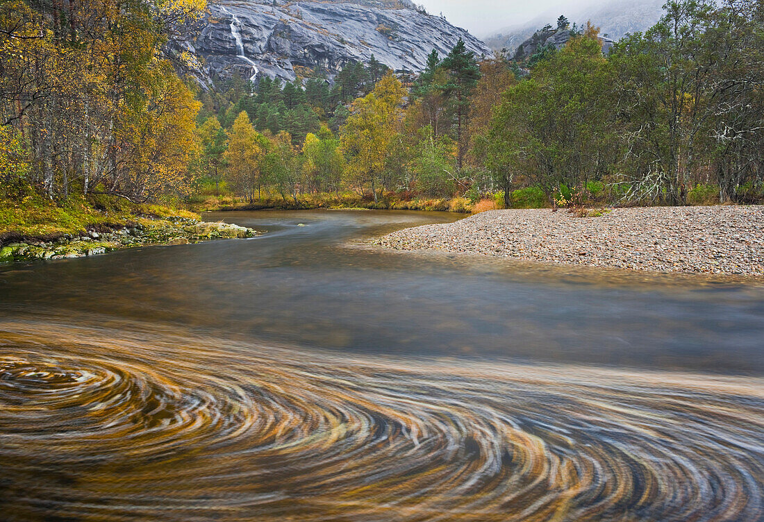 Whirlpool of leaves, Sordalen, Hordaland, Norway