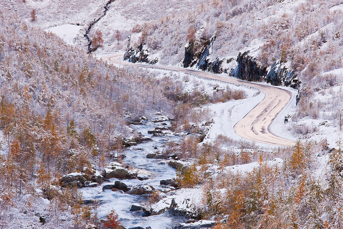 Bach fließt an Birken vorbei, Valldalen, Norwegen