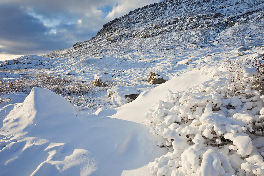 Winter landscape, Hardangervidda National Park, Hordaland, Norway