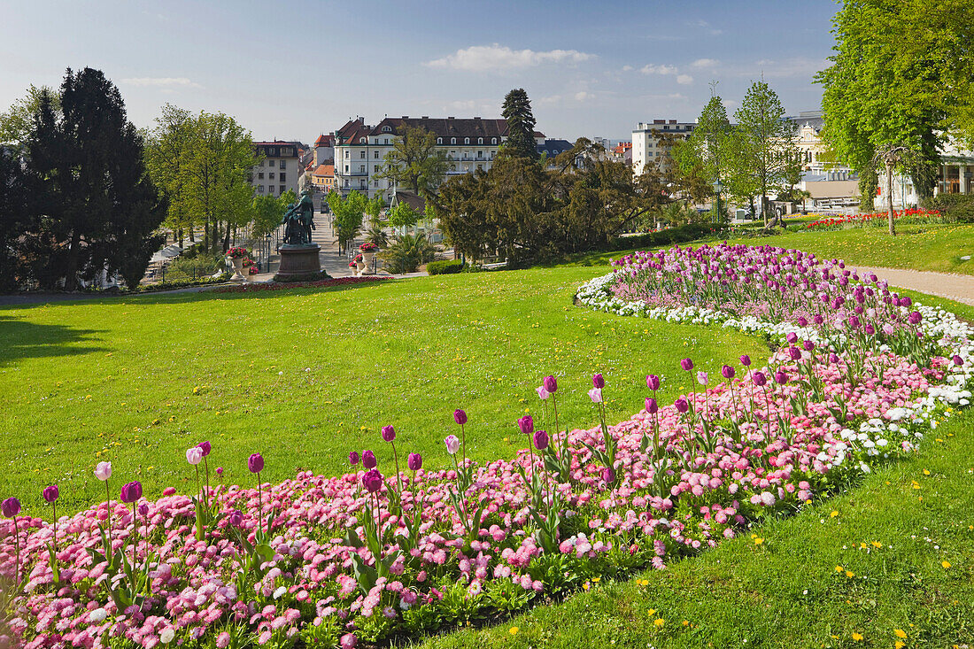 Blumen im Badener Kurpark, Baden bei Wien, Niederösterreich, Österreich