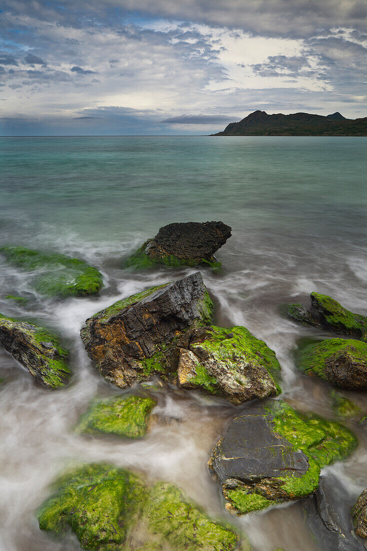 Mit Algen bedeckte Felsen, Meer und Küstenlandschaft bei Ogliastro, Haute-Corse, Korsika, Frankreich