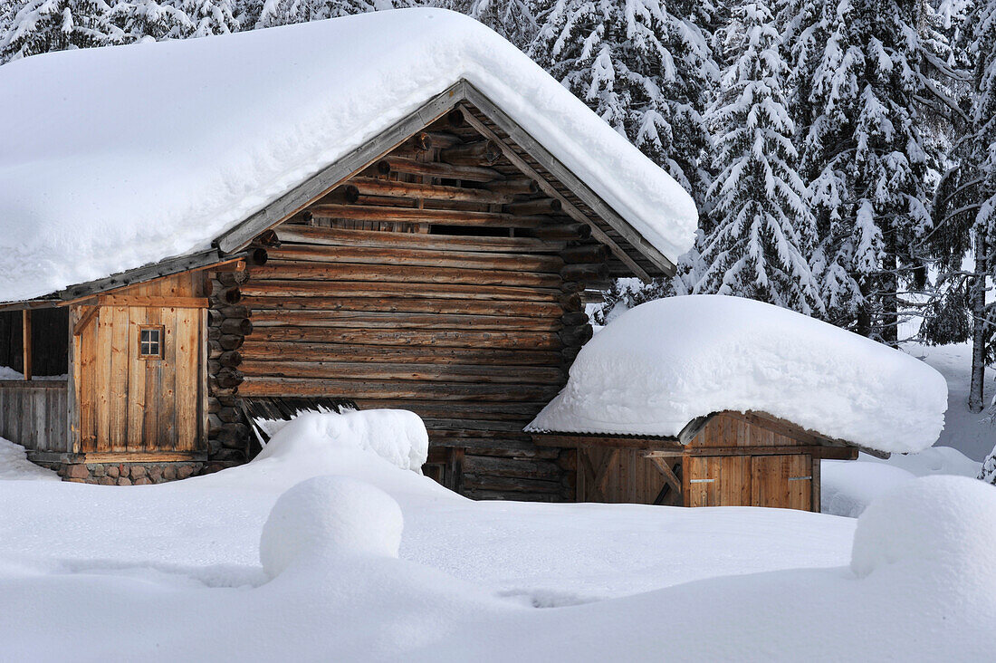 Alpine hut coverd by snow, Eggen Valley, Alto Adige, South Tyrol, Italy
