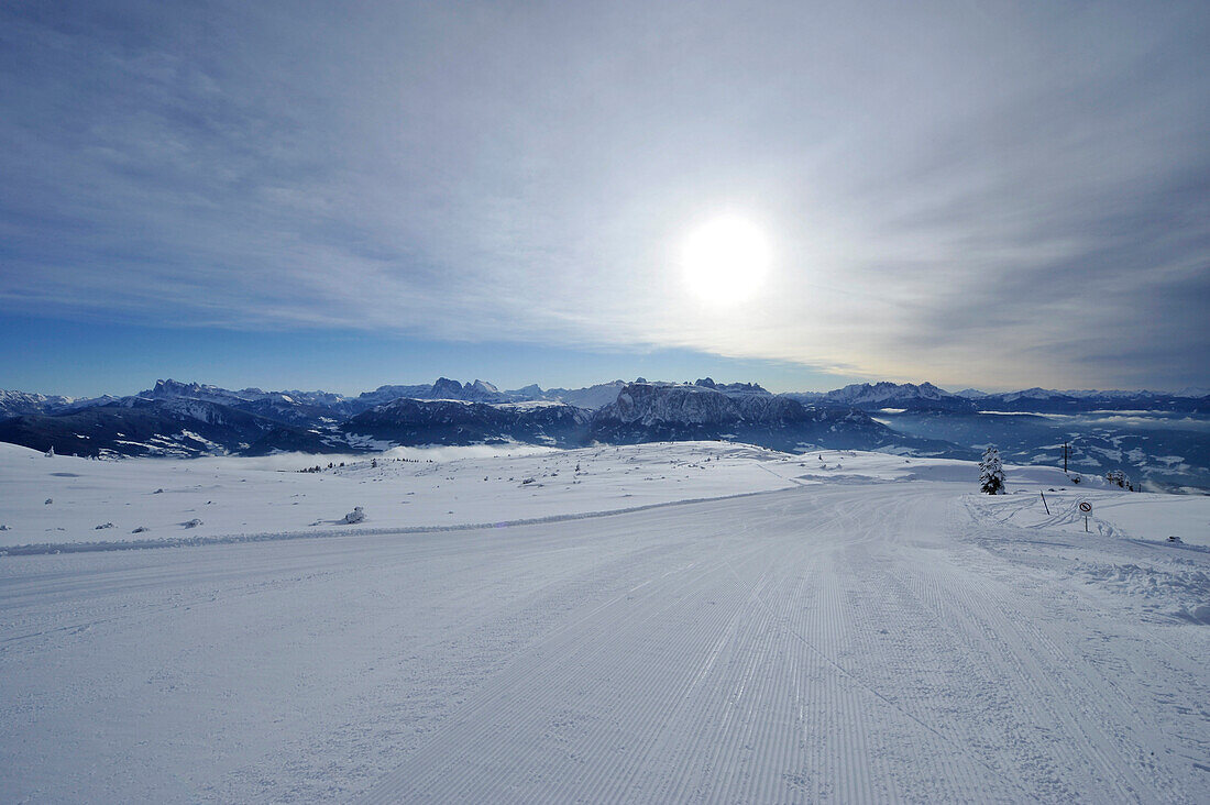 Ski slope, Rittner Horn, Alto Adige, South Tyrol, Italy