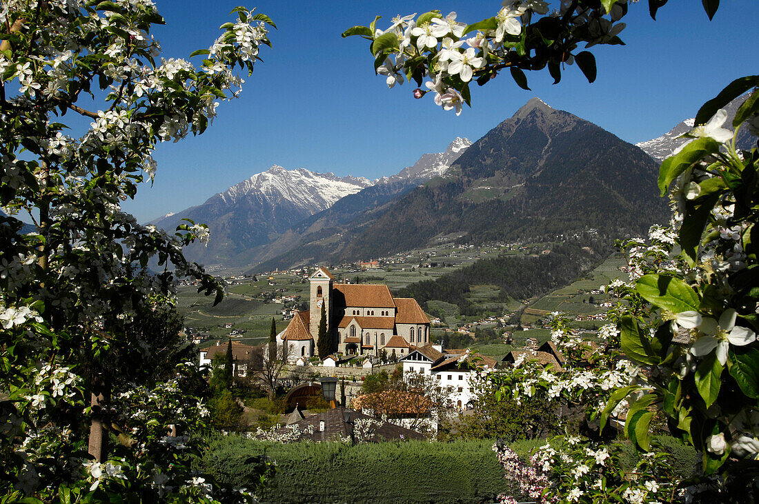 Blick auf Schenna im Frühling, Alto Adige, Südtirol, Italien