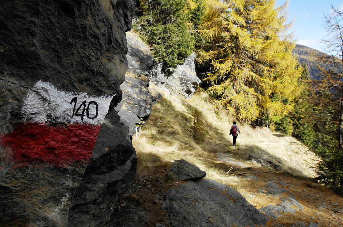 Hiker in autumn, St Gertraud, Alto Adige, South Tyrol, Italy