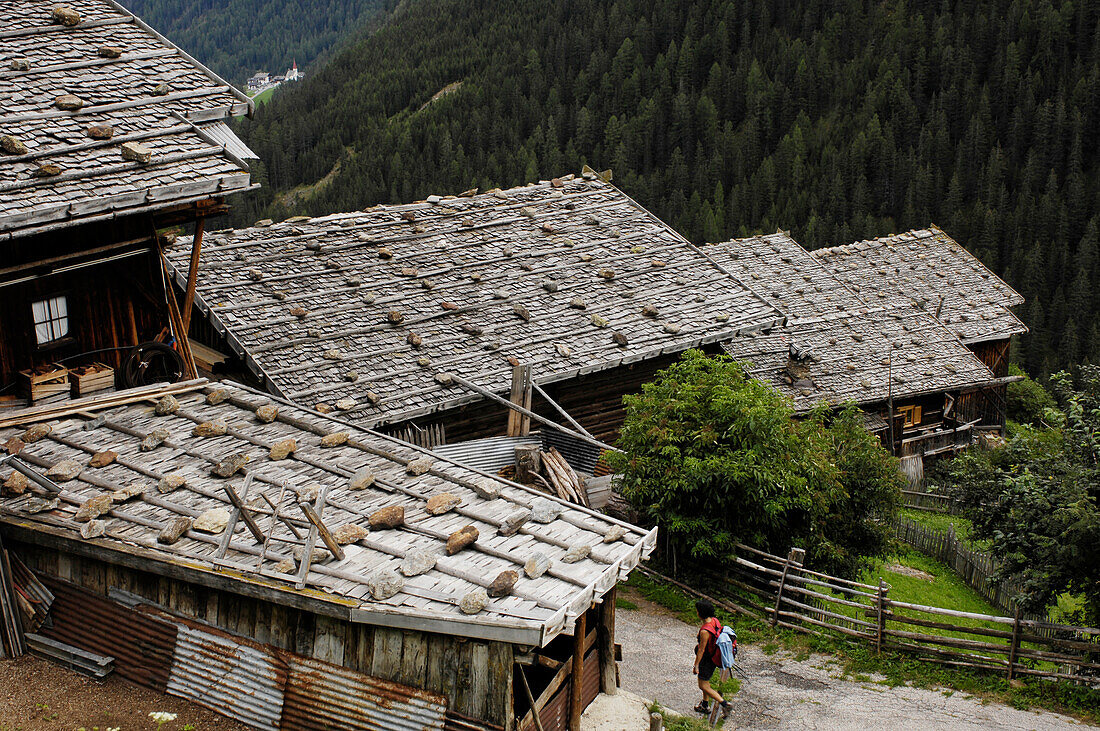 Alpine farmsteads, Pilshoefe, St Gertraud, Ulten Valley, Alto Adige, South Tyrol, Italy